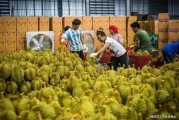91华人国产,融合创新，共筑繁荣未来