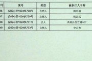 理论国产一级,引领科技创新，铸就民族品牌辉煌